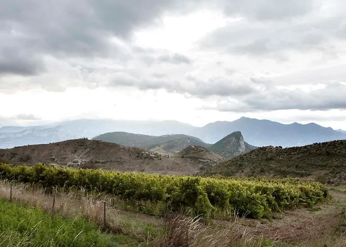 Cal Borda 아파트 Coll de Nargó
